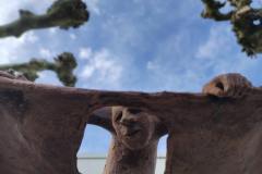 IMG_20240323_153927
