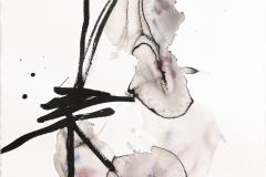 00-bi