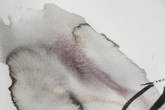 00z-detail