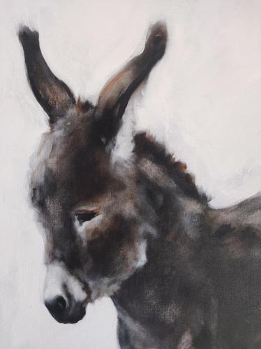 Jasper Hulshoff Pol