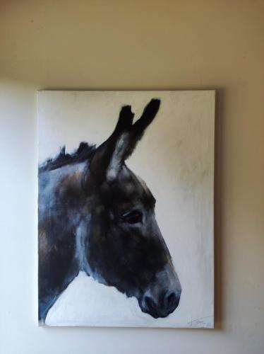 Jasper Hulshoff Pol